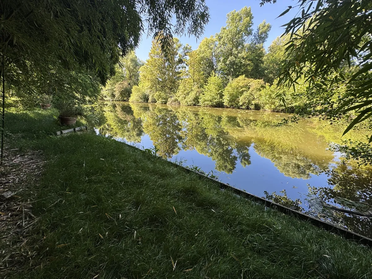 Rive enherbée descendant vers une rivière aux reflets, sous un ciel dégagé