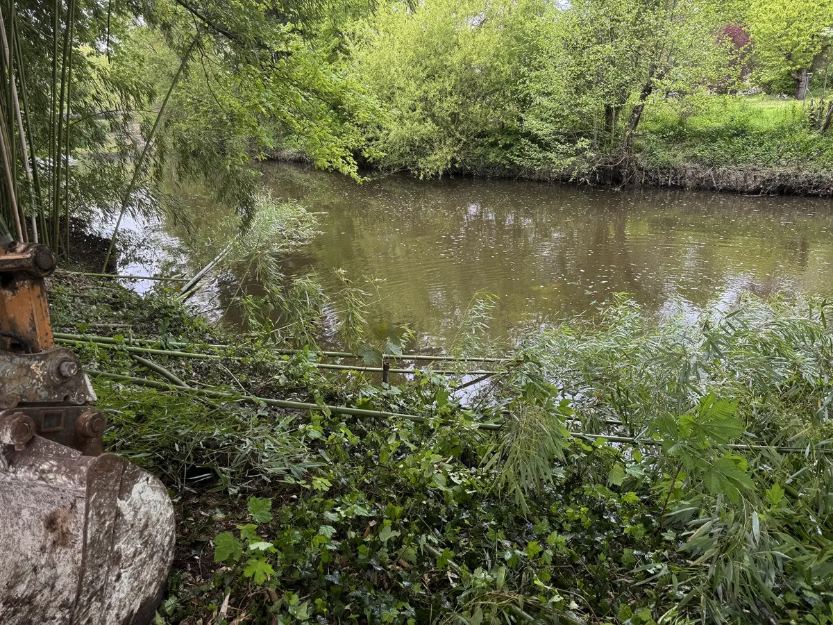 Godet de pelle mécanique dégageant bambous et ronces sur une berge de rivière