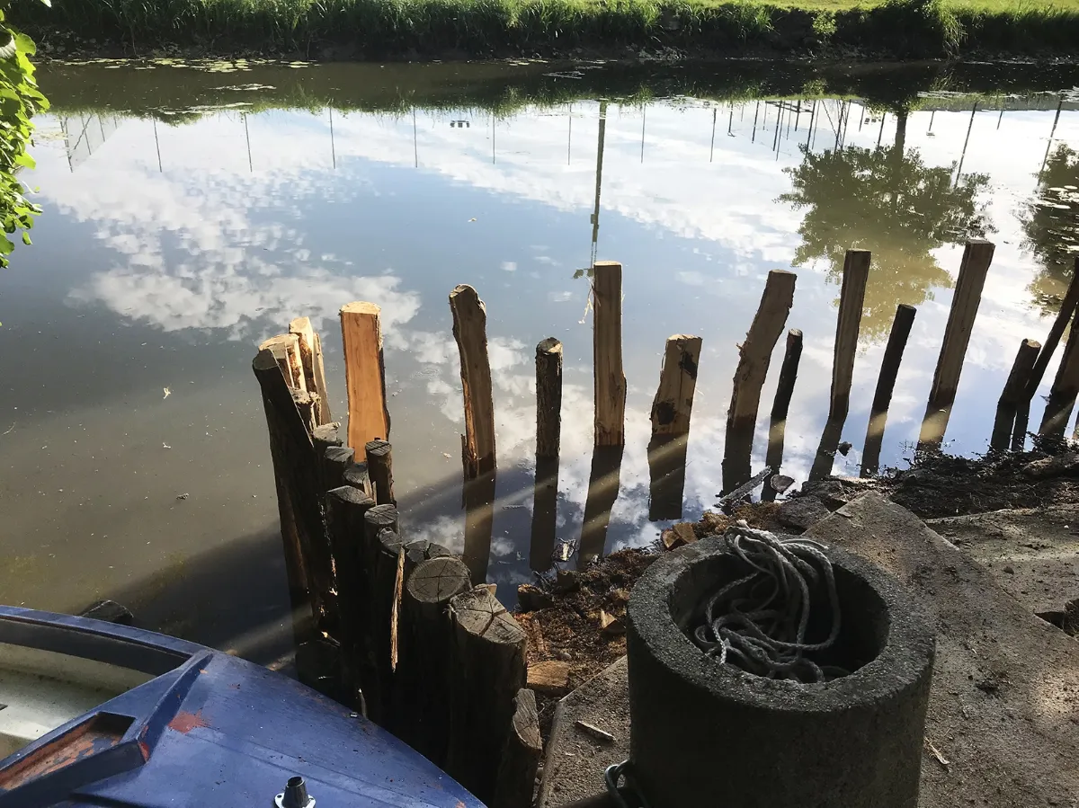 Pieux de châtaignier refendus formant un rideau serré en bordure de rivière