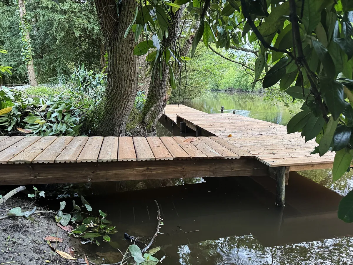 Ponton en bois clair formant un L autour d'un gros tronc, au-dessus d'une rivière calme