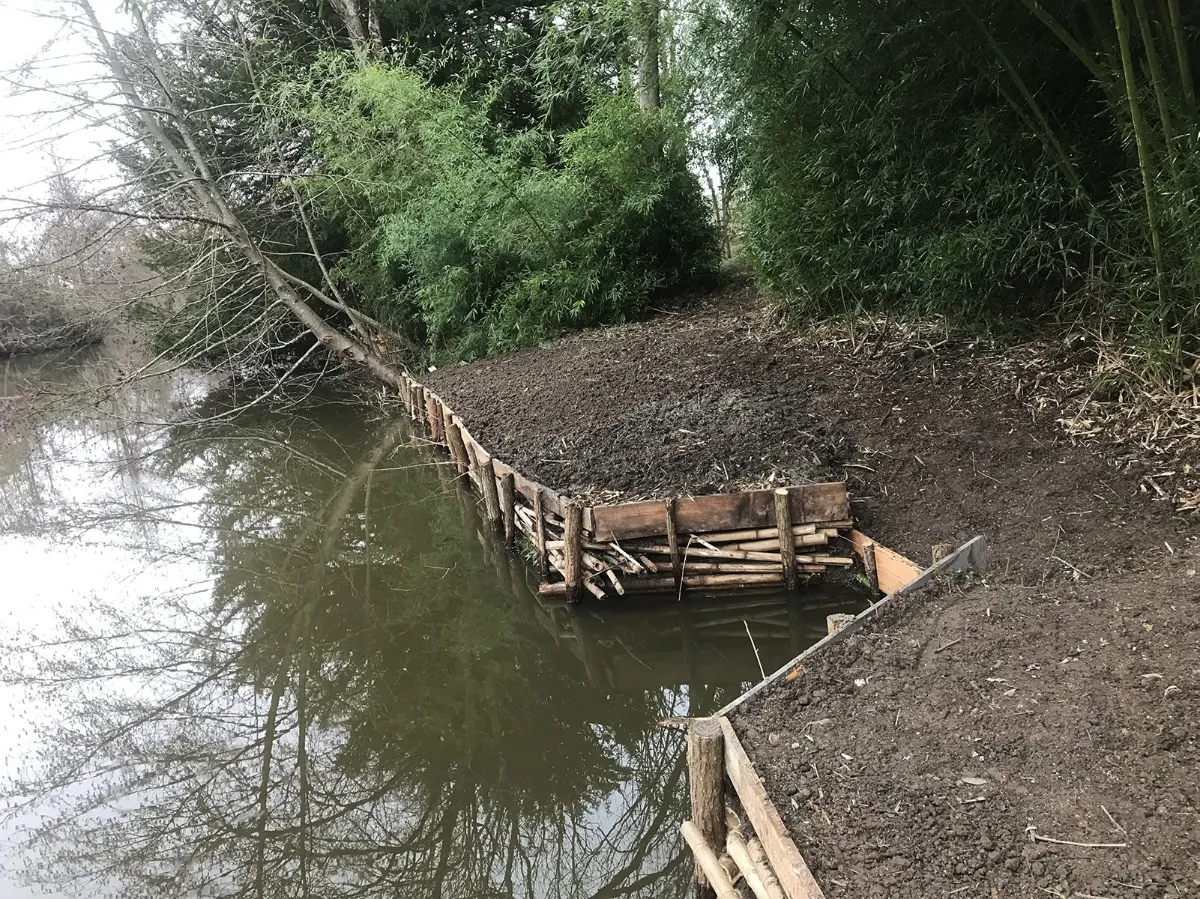 Tunage en construction : rondins empilés horizontalement derrière un rang de pieux, en bord de rivière