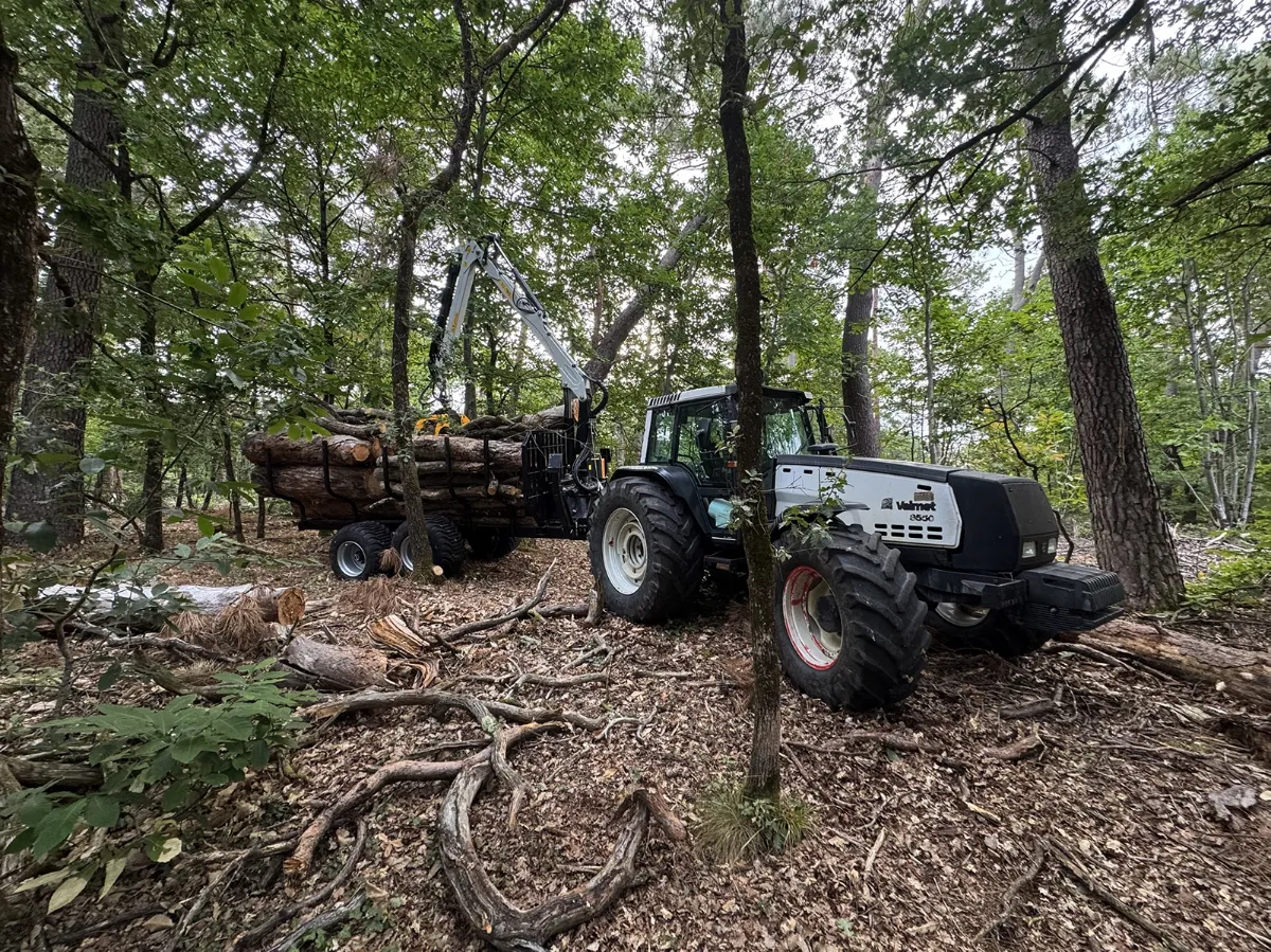 Tracteur attelé à une remorque forestière chargée de grumes, sur un chemin en sous-bois