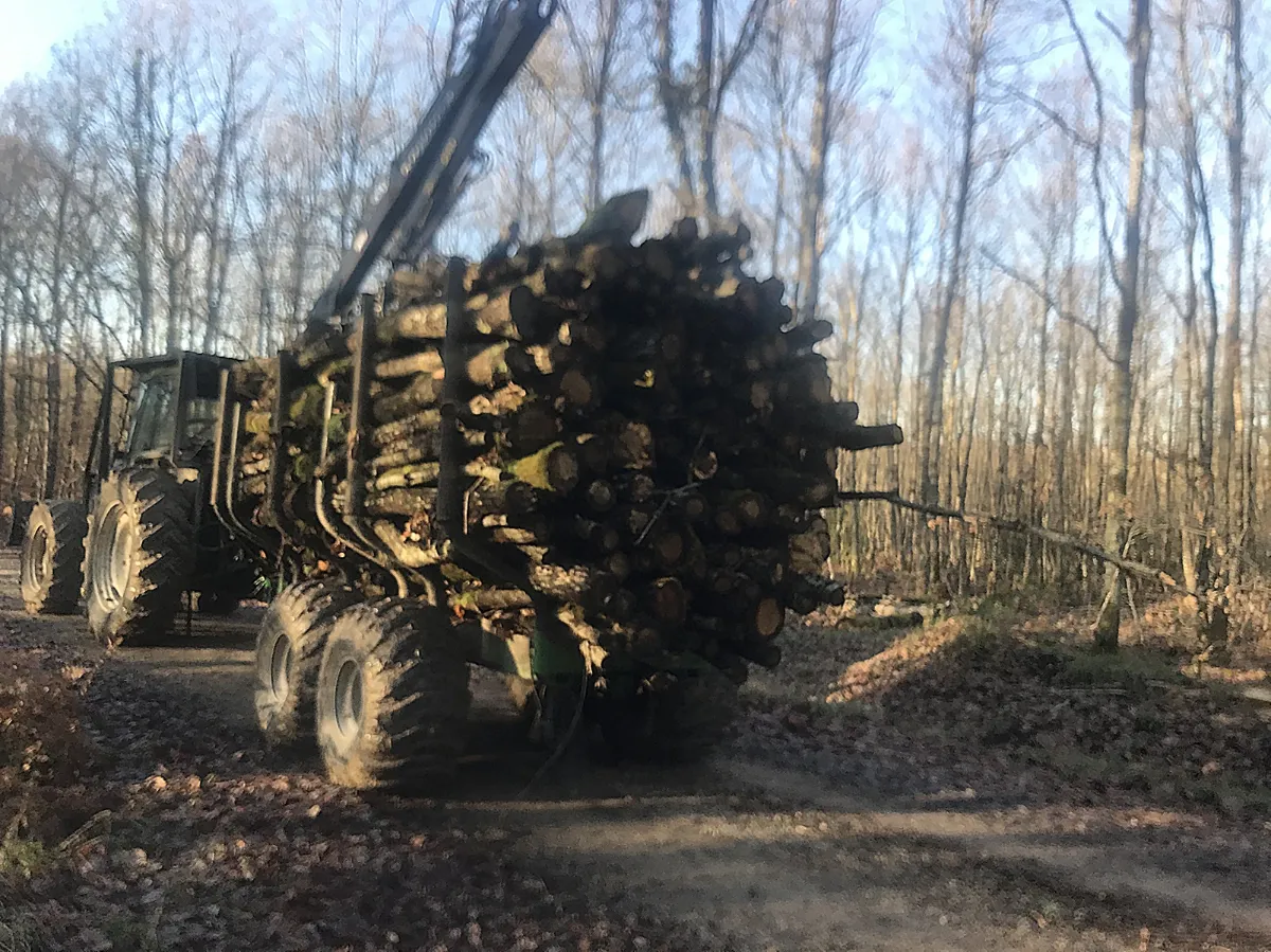 Remorque forestière pleine tirée par un tracteur dans une futaie de feuillus, en hiver