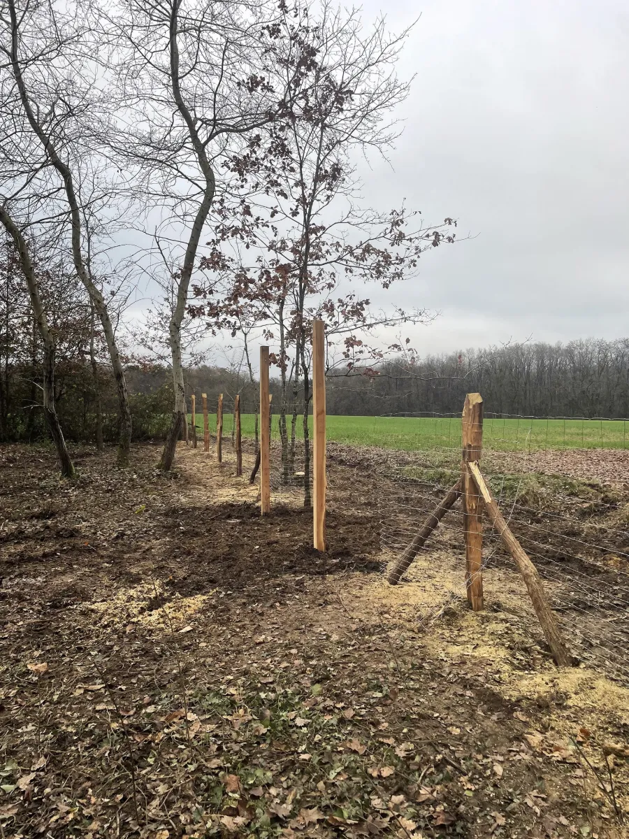 Clôture en grillage neuve avec poteaux et jambe de force, en limite d'un champ cultivé