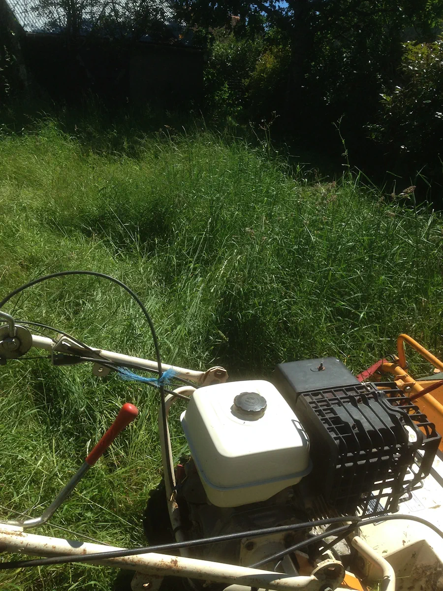 Débroussailleuse autotractée engagée dans une herbe haute de jardin, en plein soleil