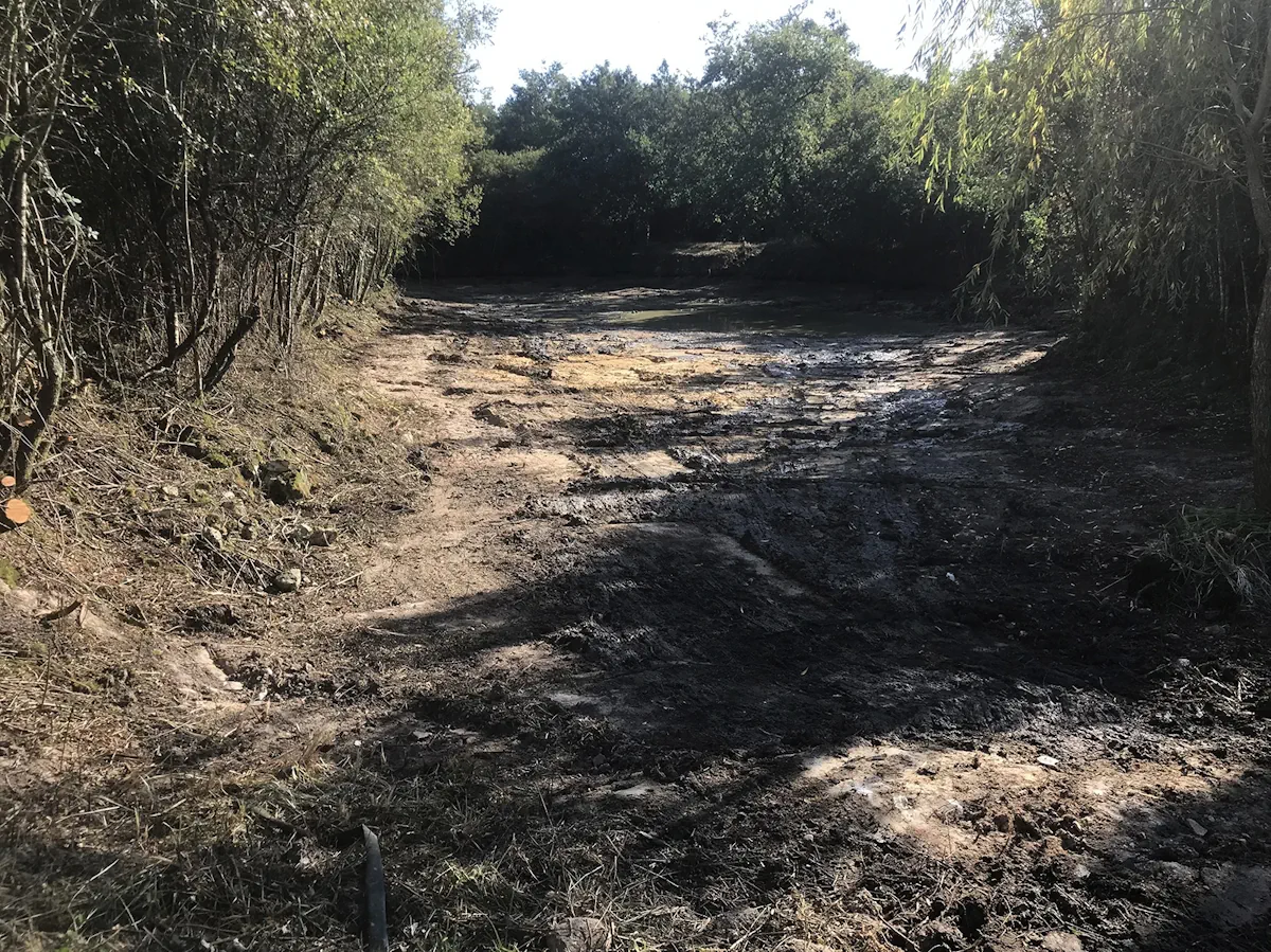 Fond d'étang curé, vase et sable mis à nu entre des berges dégagées