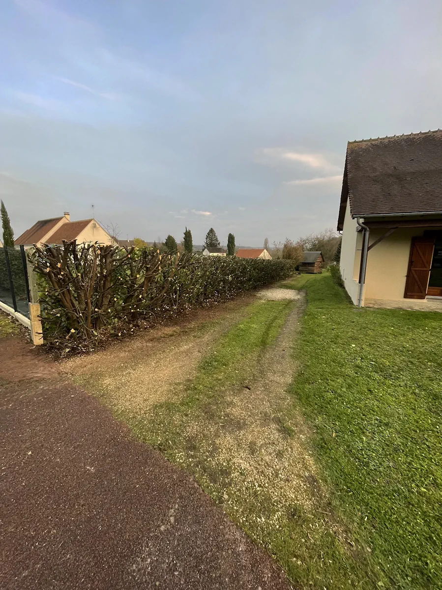 Haie rabattue sur charpente le long d'une allée de gravier, maison et campagne au fond