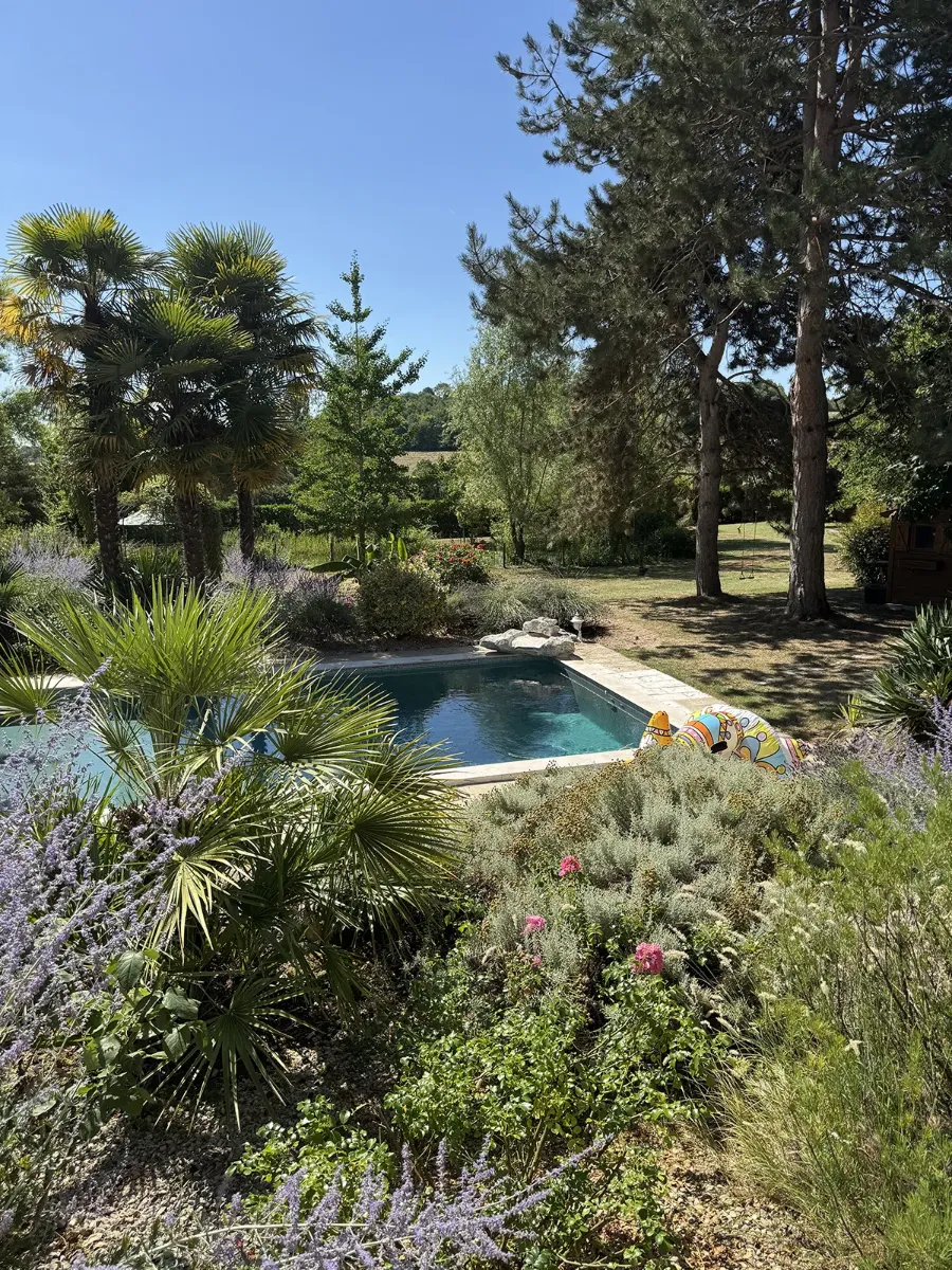 Piscine à margelle claire au milieu d'un jardin de palmiers, lavandes et vivaces, sous les pins