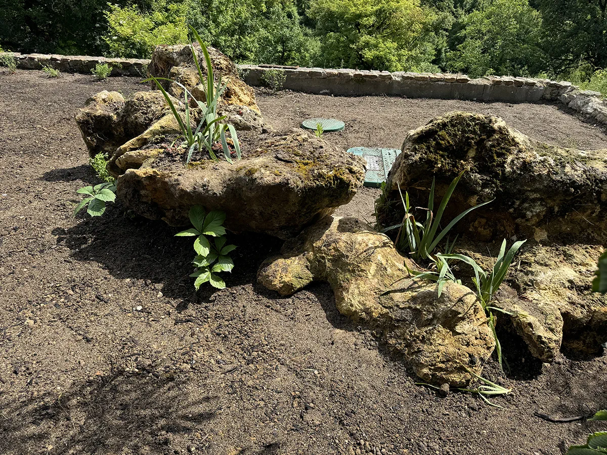 Blocs de pierre disposés en rocaille et plantés d'iris et de vivaces, sur un terrain fraîchement terrassé