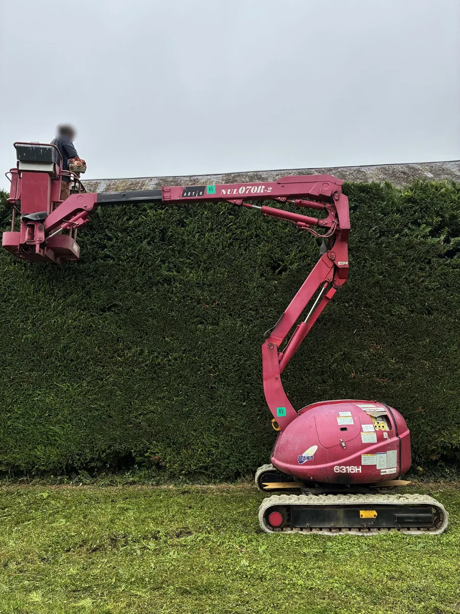 Nacelle articulée chenillée, bras déployé le long d'une haute haie de thuyas, vue de profil